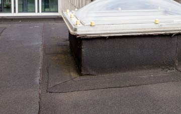 disadvantages of Trescoll flat roofs